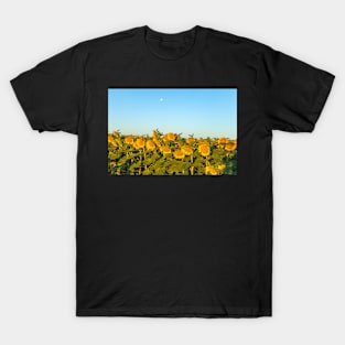 Sunflowers and  moon T-Shirt